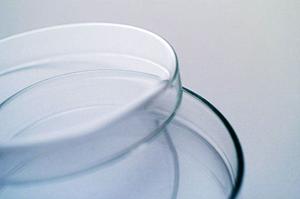 子供の歯並びを気にせず安心！早良区で人気の小児矯正歯科を詳しく解説