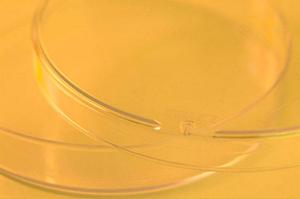 安心と信頼の医療体制！京都市で受ける内視鏡検査のメリットとスムーズな受診ガイド