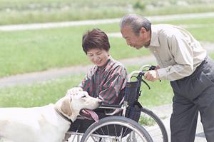 鹿島田エリアで歯科医院をお探しなら