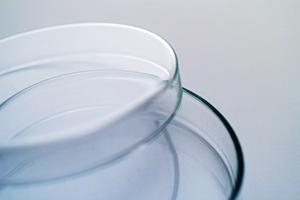 さいたま市周辺で心療内科を探している方