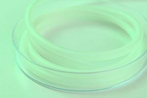 ペットホテル完備の小平市にある動物病院