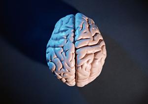 世田谷区で夜遅い時間まで診療可能な歯科