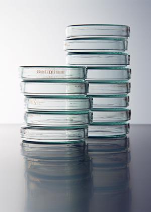 根本的な原因の治療を心掛けています