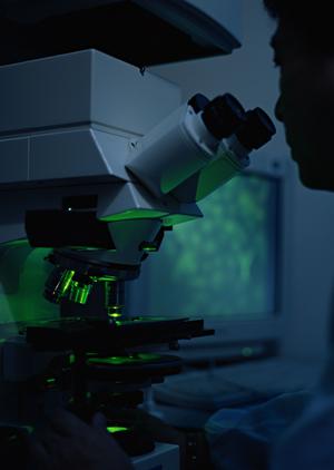 サポートが充実しているので安心して購入できます