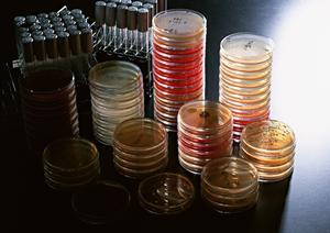 東京でインプラント治療を行なっています