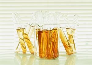 港北区でアトピー治療を検討しているなら