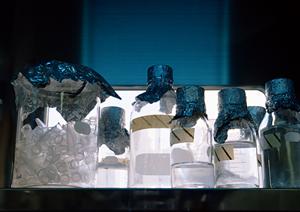 安心のマウスピース矯正の歯科を探すなら